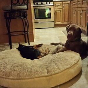 Meet your Posher, Alysia